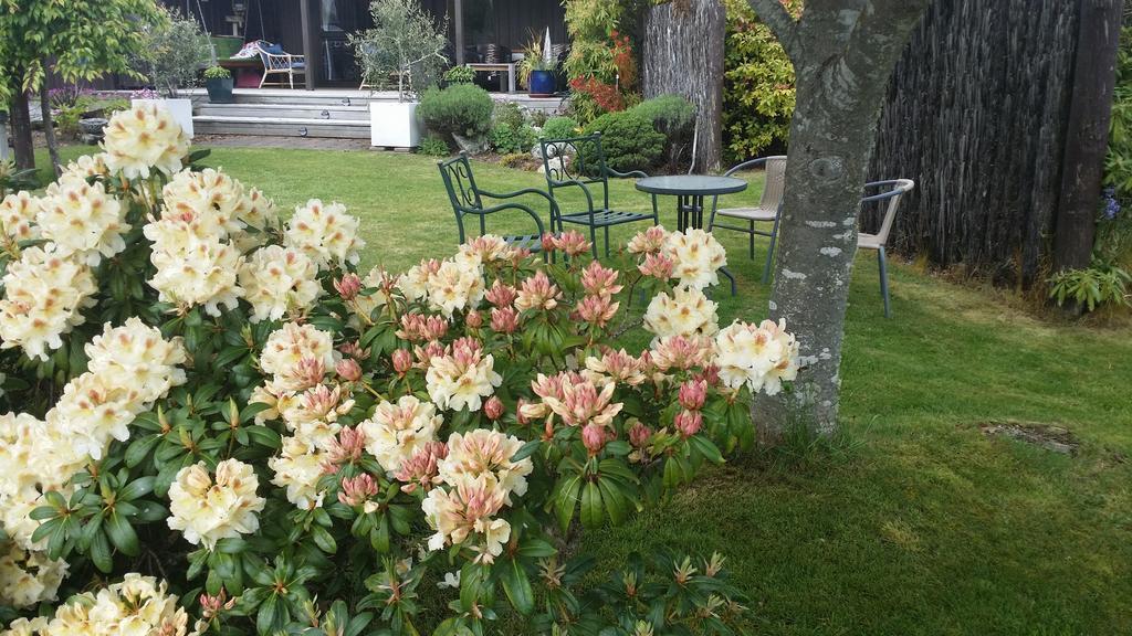 Alpine Rock B&B Te Anau Exterior photo